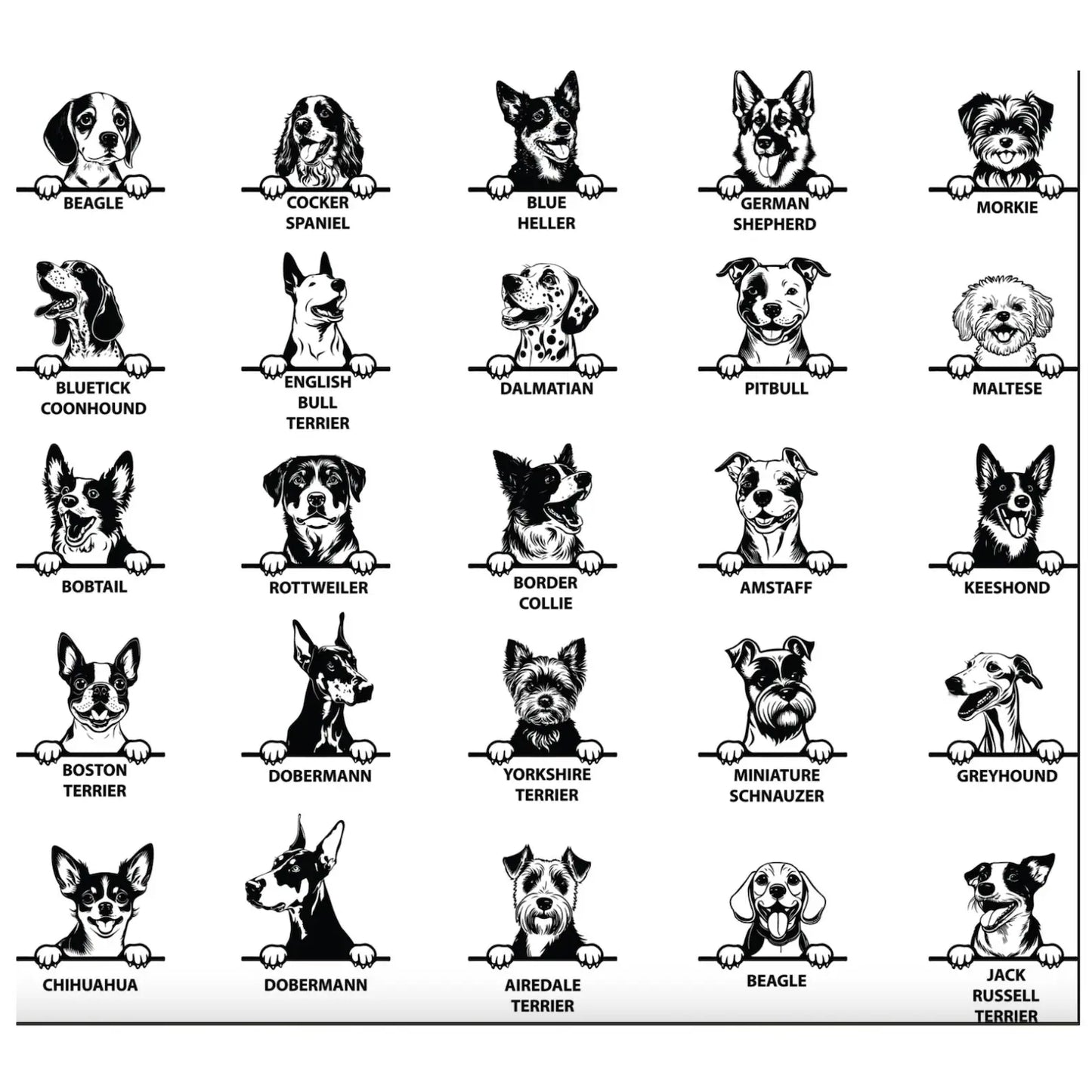 New Best Friend Onesie, Protected By Dog Onesie, Personalized Dog Name Onesie, Dog Name Baby Bodysuit, Baby Shower Gift, Newborn Baby Gift