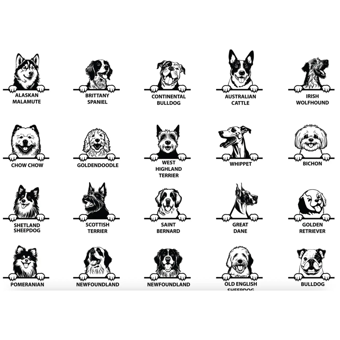 New Best Friend Onesie, Protected By Dog Onesie, Personalized Dog Name Onesie, Dog Name Baby Bodysuit, Baby Shower Gift, Newborn Baby Gift