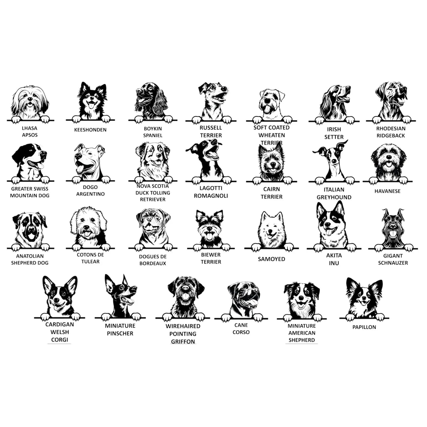 New Best Friend Onesie, Protected By Dog Onesie, Personalized Dog Name Onesie, Dog Name Baby Bodysuit, Baby Shower Gift, Newborn Baby Gift