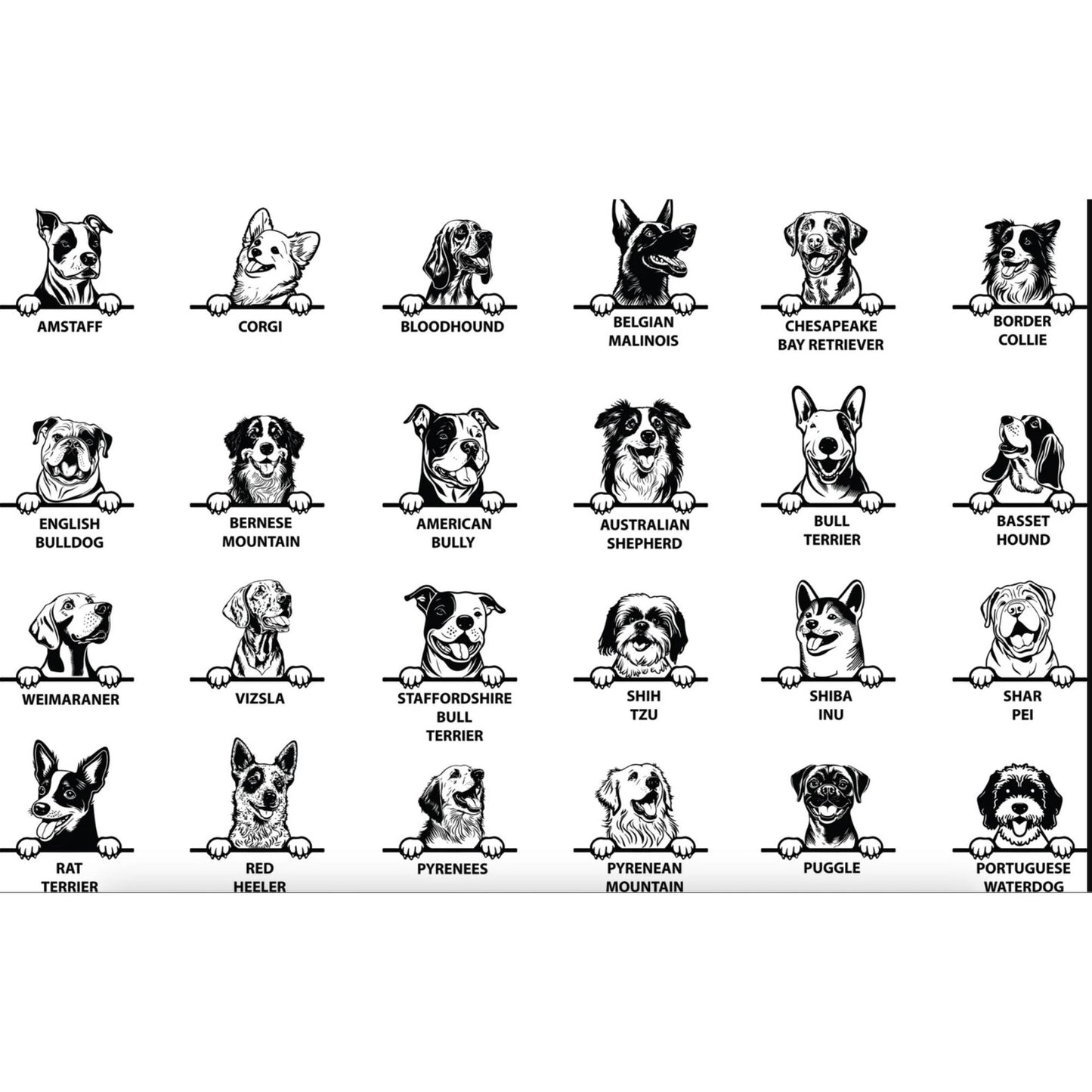 New Best Friend Onesie, Protected By Dog Onesie, Personalized Dog Name Onesie, Dog Name Baby Bodysuit, Baby Shower Gift, Newborn Baby Gift