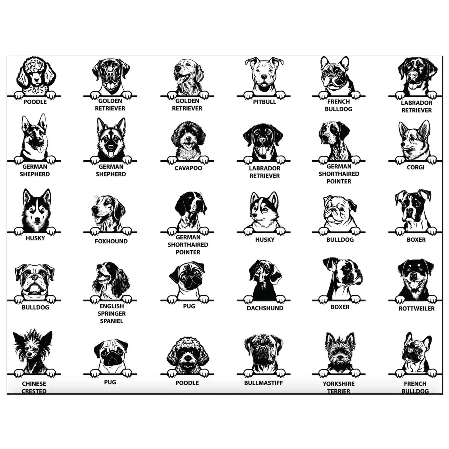 New Best Friend Onesie, Protected By Dog Onesie, Personalized Dog Name Onesie, Dog Name Baby Bodysuit, Baby Shower Gift, Newborn Baby Gift