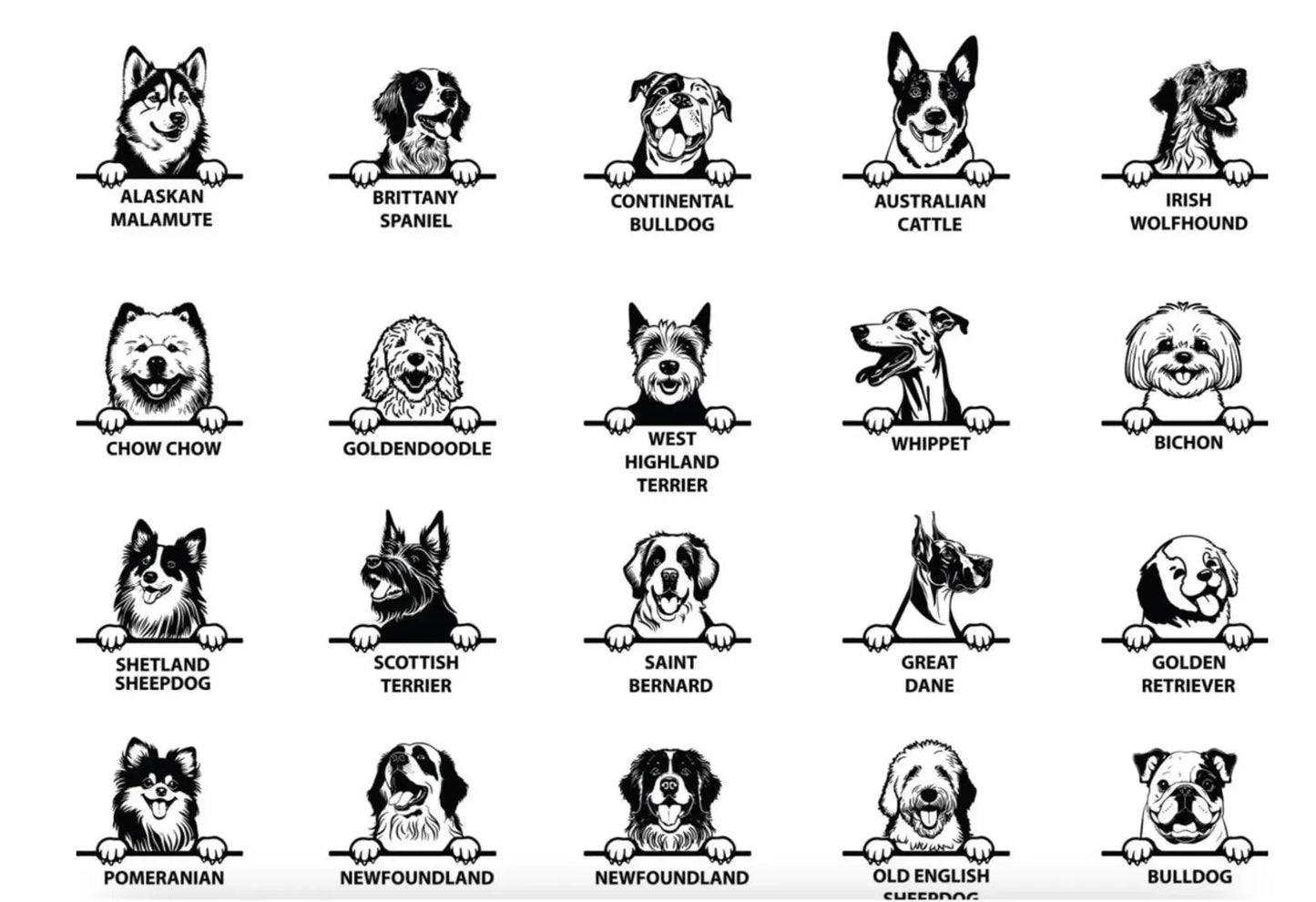 Baby Onesie, Cute Infant Bodysuit, Newborn Baby Outfit, Funny Baby Creeper, Baby Shower Gift, Cotton Baby Bodysuit