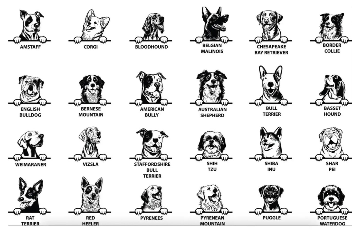 Baby Onesie, Cute Infant Bodysuit, Newborn Baby Outfit, Funny Baby Creeper, Baby Shower Gift, Cotton Baby Bodysuit