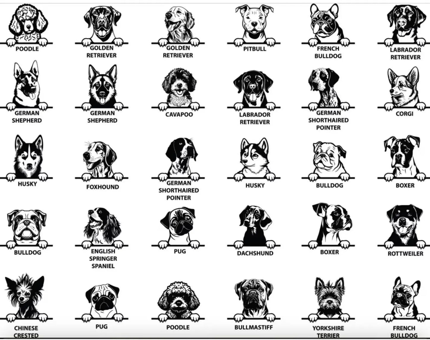 Baby Onesie, Cute Infant Bodysuit, Newborn Baby Outfit, Funny Baby Creeper, Baby Shower Gift, Cotton Baby Bodysuit