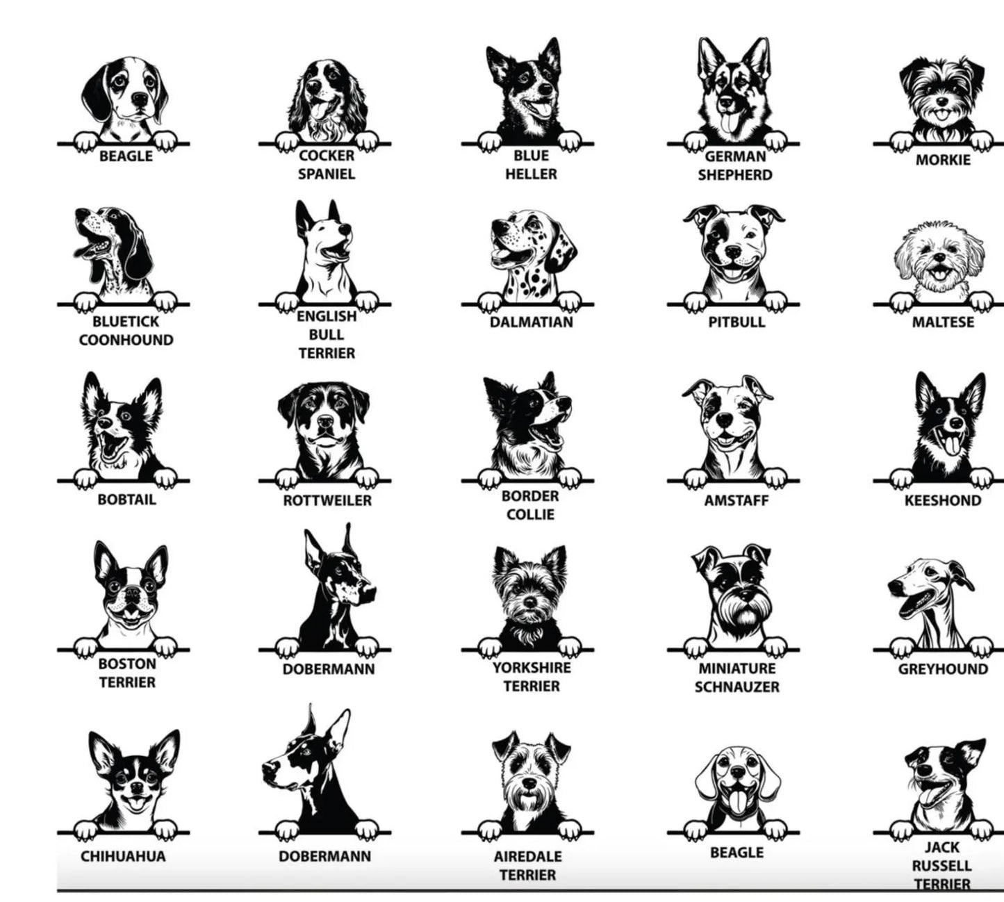 Baby Onesie, Cute Infant Bodysuit, Newborn Baby Outfit, Funny Baby Creeper, Baby Shower Gift, Cotton Baby Bodysuit