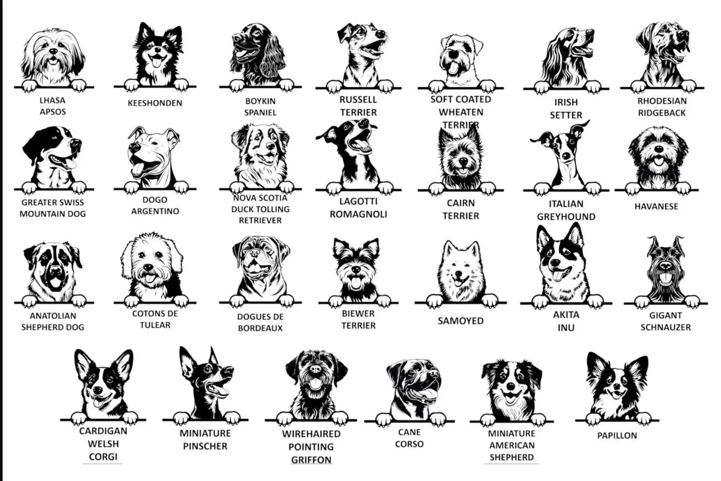 Baby Onesie, Cute Infant Bodysuit, Newborn Baby Outfit, Funny Baby Creeper, Baby Shower Gift, Cotton Baby Bodysuit